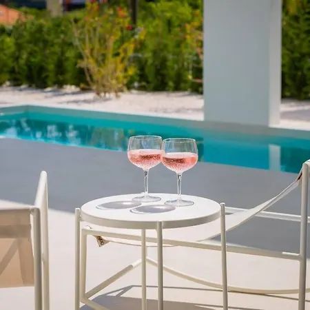 Luxury White Palace With Heated Pool 别墅